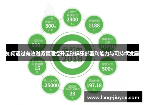 如何通过有效财务管理提升足球俱乐部盈利能力与可持续发展