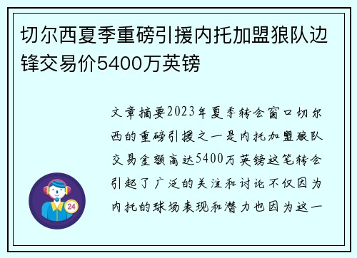 切尔西夏季重磅引援内托加盟狼队边锋交易价5400万英镑